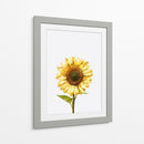 Sunflower Graffiti - David Aste | Cuadro decorativo de Canvas Lab