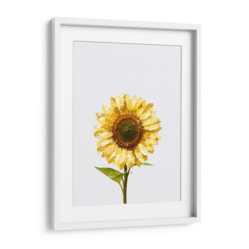 Sunflower Graffiti - David Aste | Cuadro decorativo de Canvas Lab