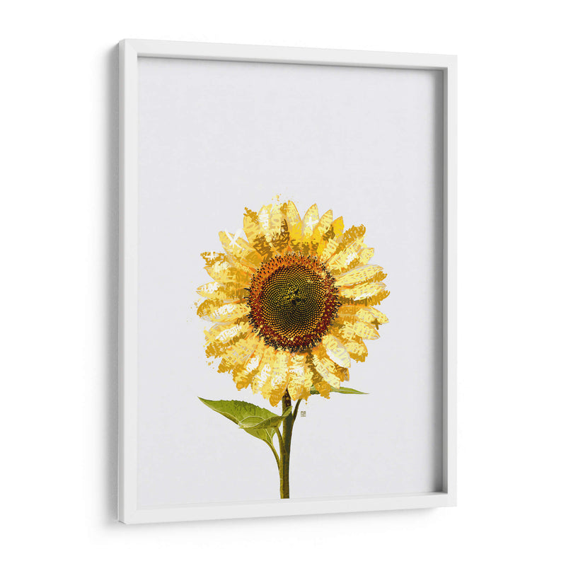 Sunflower Graffiti - David Aste | Cuadro decorativo de Canvas Lab