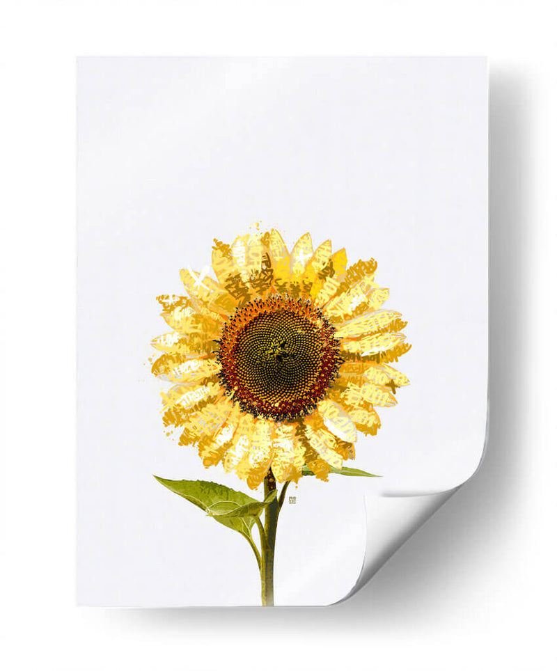 Sunflower Graffiti - David Aste | Cuadro decorativo de Canvas Lab