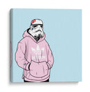Trooper Hoodie - David Aste | Cuadro decorativo de Canvas Lab