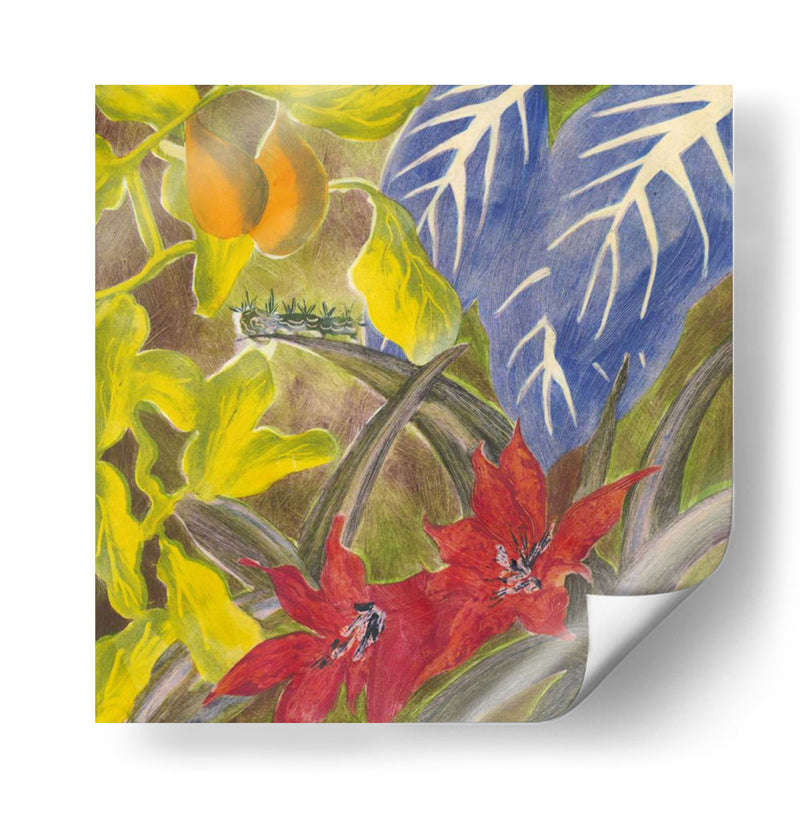 Monotipo Tropical I - Carolyn Roth | Cuadro decorativo de Canvas Lab