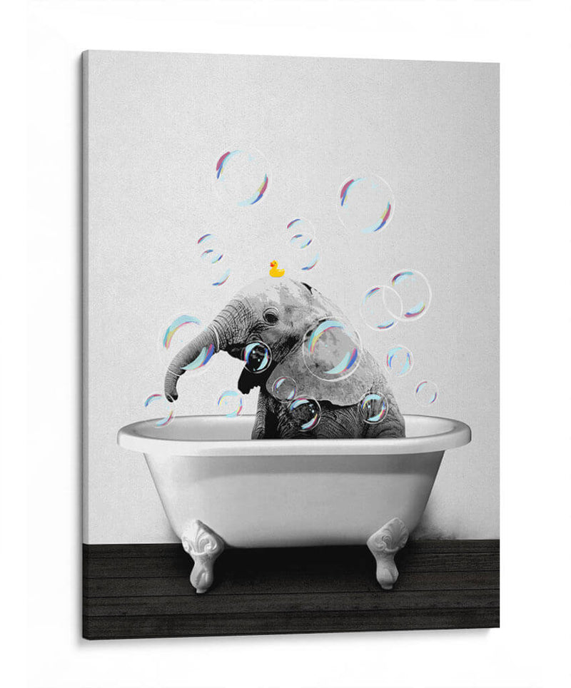 Baby Elephant Bath - Animals Daily | Cuadro decorativo de Canvas Lab