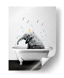 Baby Elephant Bath - Animals Daily | Cuadro decorativo de Canvas Lab