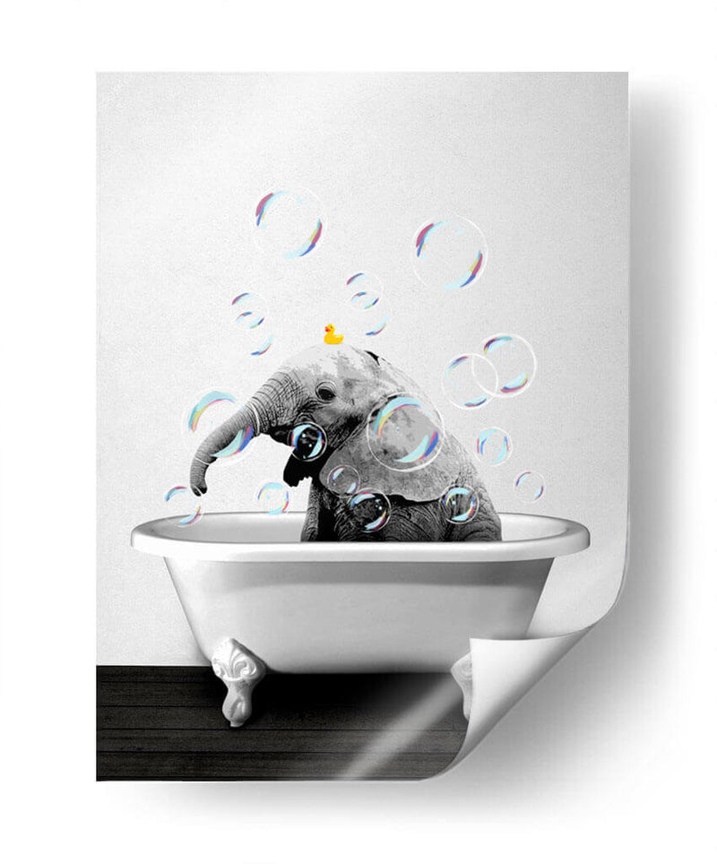 Baby Elephant Bath - Animals Daily | Cuadro decorativo de Canvas Lab