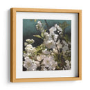 Rosas Blancas Iii - Rick Novak | Cuadro decorativo de Canvas Lab