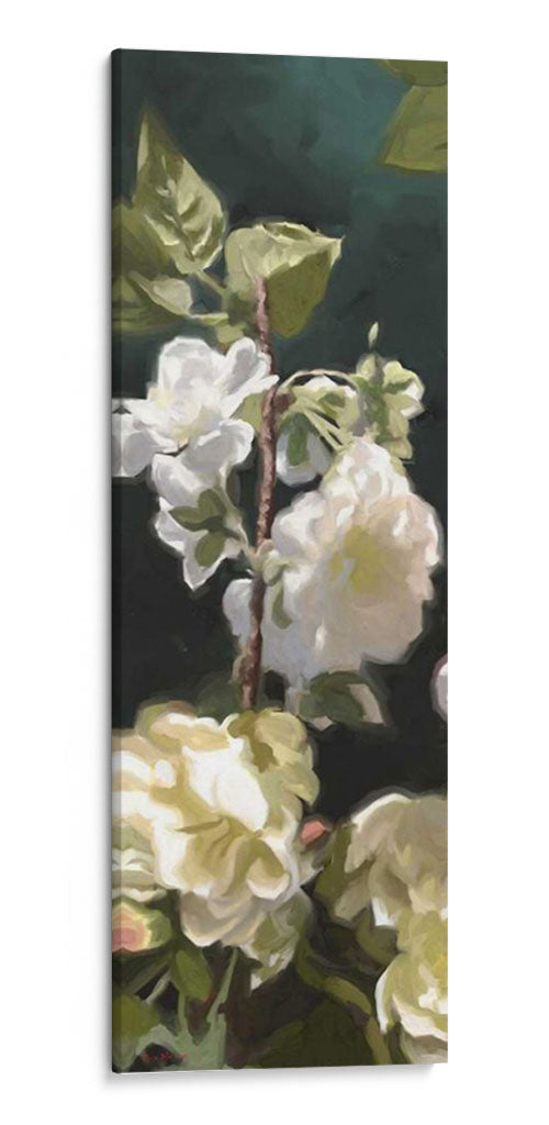 Rosas Blancas Iv - Rick Novak | Cuadro decorativo de Canvas Lab