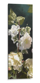 Rosas Blancas Iv - Rick Novak | Cuadro decorativo de Canvas Lab