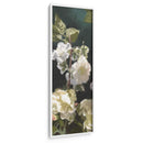 Rosas Blancas Iv - Rick Novak | Cuadro decorativo de Canvas Lab