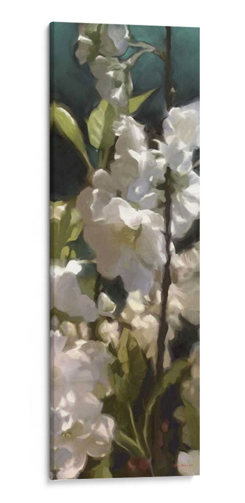 Rosas Blancas V - Rick Novak | Cuadro decorativo de Canvas Lab