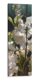 Rosas Blancas V - Rick Novak | Cuadro decorativo de Canvas Lab