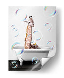 Giraffe Bath Color - Animals Daily | Cuadro decorativo de Canvas Lab