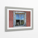 Ventana De Mapache - Chris Vest | Cuadro decorativo de Canvas Lab