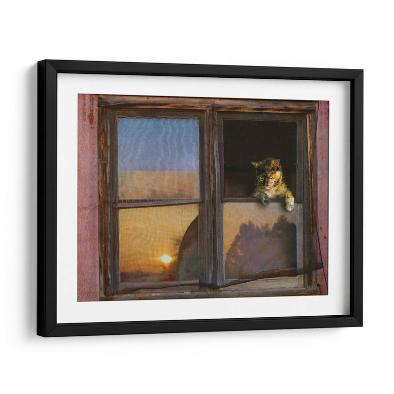 Ventana De Gatito - Chris Vest | Cuadro decorativo de Canvas Lab