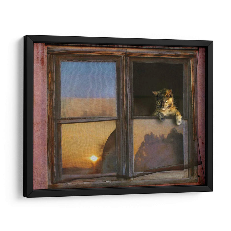 Ventana De Gatito - Chris Vest | Cuadro decorativo de Canvas Lab