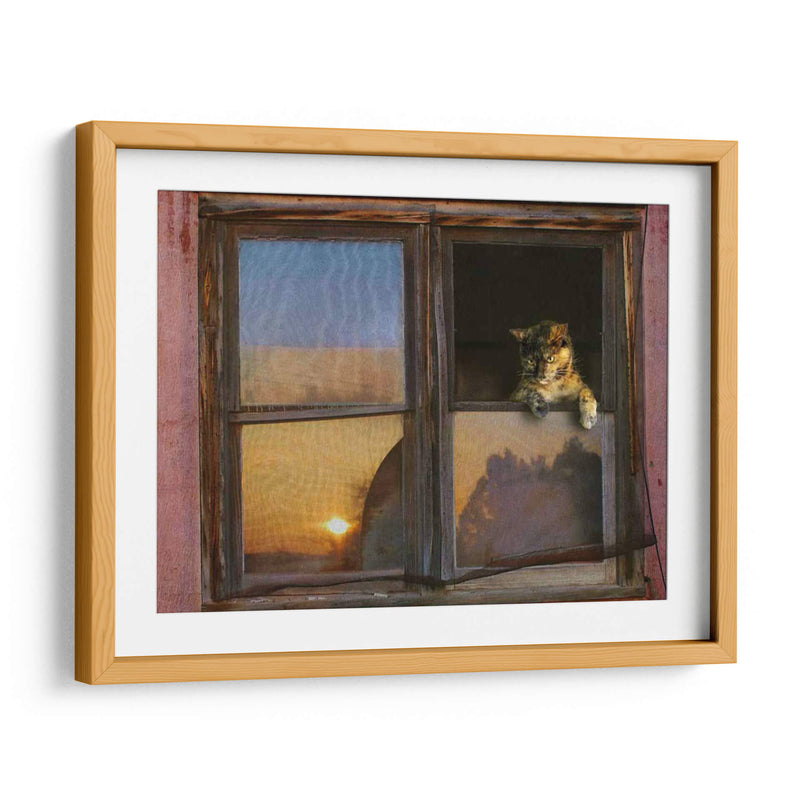 Ventana De Gatito - Chris Vest | Cuadro decorativo de Canvas Lab