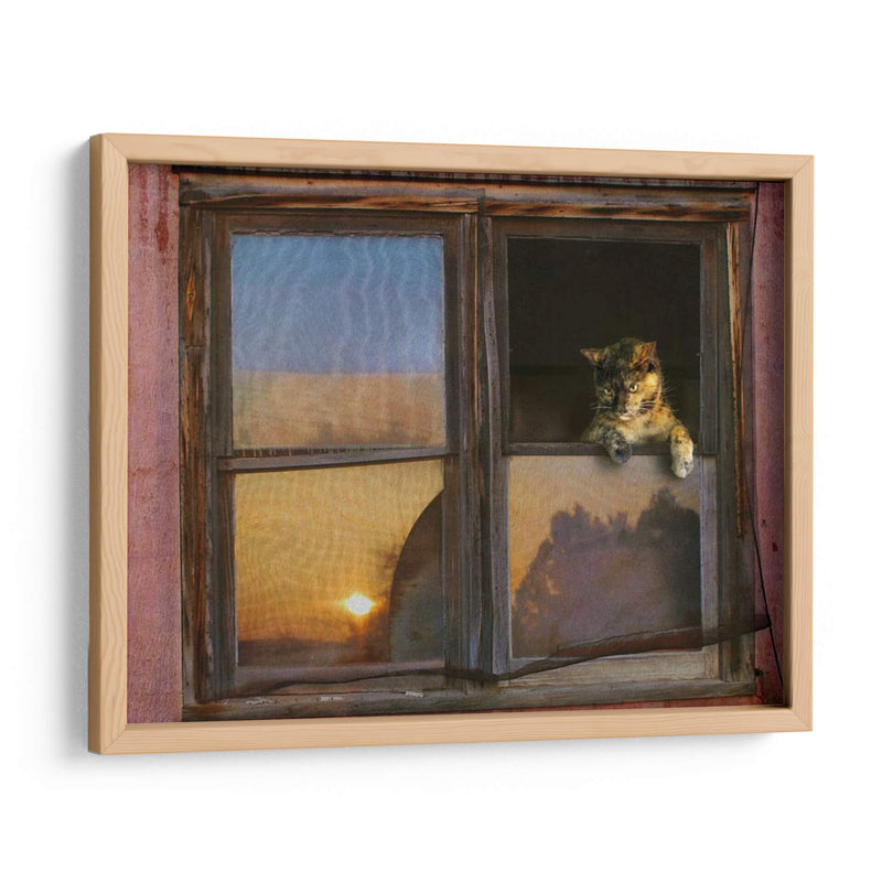 Ventana De Gatito - Chris Vest | Cuadro decorativo de Canvas Lab