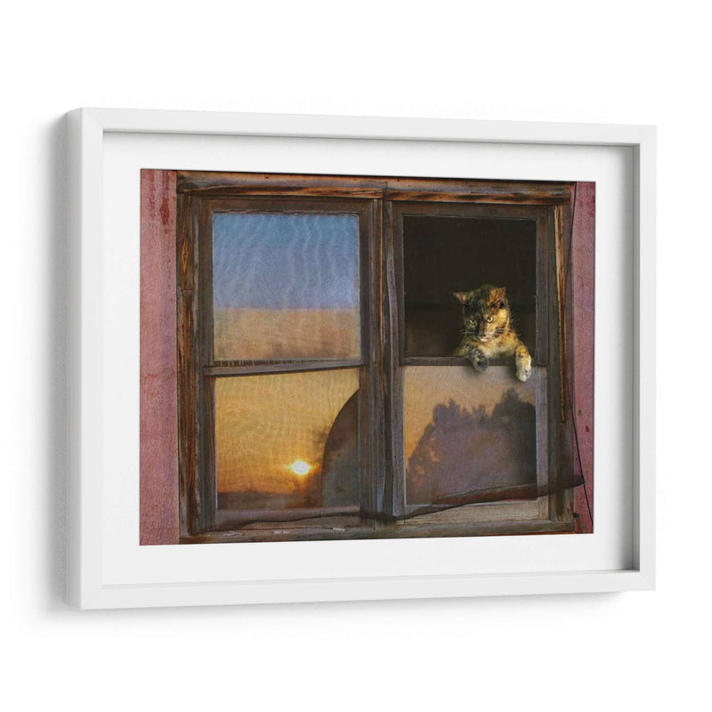 Ventana De Gatito - Chris Vest | Cuadro decorativo de Canvas Lab