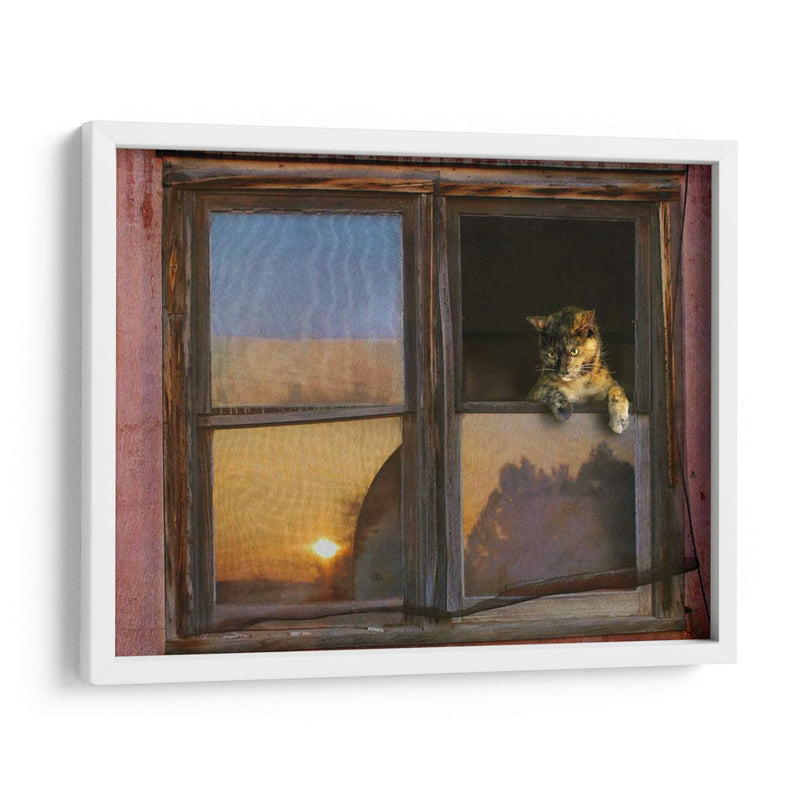 Ventana De Gatito - Chris Vest | Cuadro decorativo de Canvas Lab