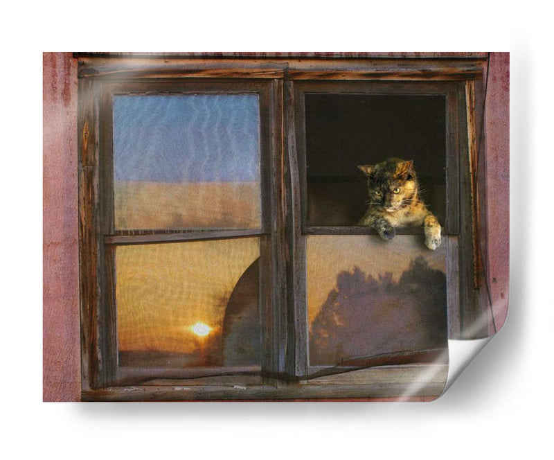 Ventana De Gatito - Chris Vest | Cuadro decorativo de Canvas Lab