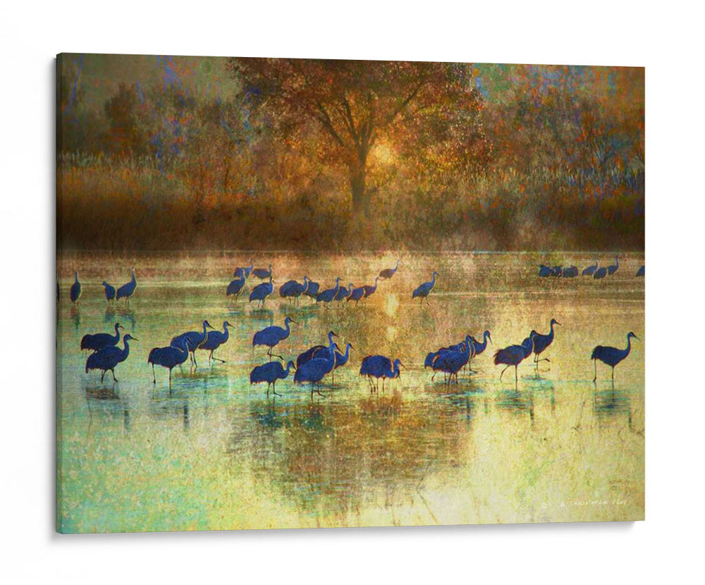 Grúas En Niebla Ii - Chris Vest | Cuadro decorativo de Canvas Lab