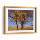 Olmo Amarillo - Chris Vest | Cuadro decorativo de Canvas Lab