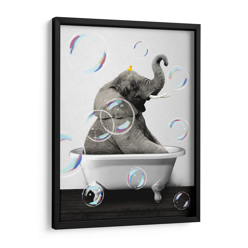 Elephant Bath Color - Animals Daily | Cuadro decorativo de Canvas Lab