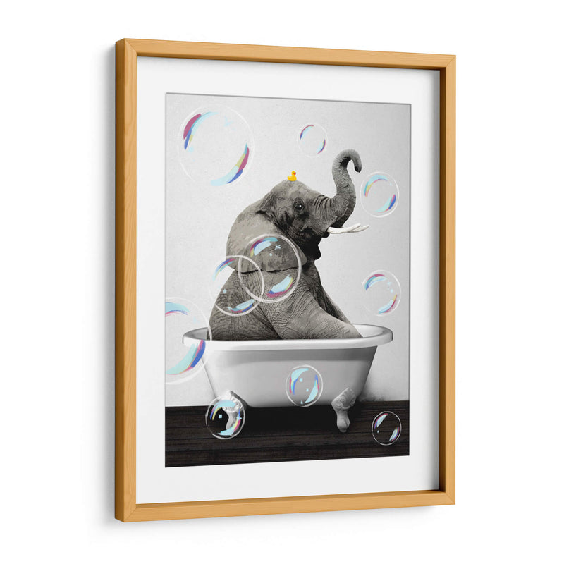 Elephant Bath Color - Animals Daily | Cuadro decorativo de Canvas Lab