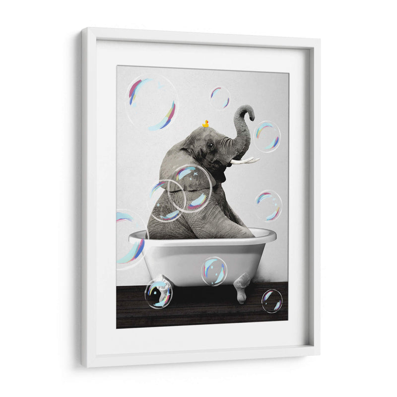 Elephant Bath Color - Animals Daily | Cuadro decorativo de Canvas Lab