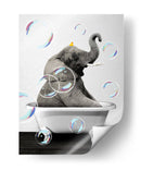 Elephant Bath Color - Animals Daily | Cuadro decorativo de Canvas Lab