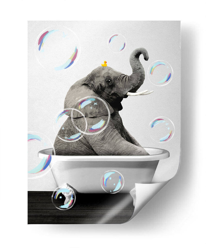 Elephant Bath Color - Animals Daily | Cuadro decorativo de Canvas Lab