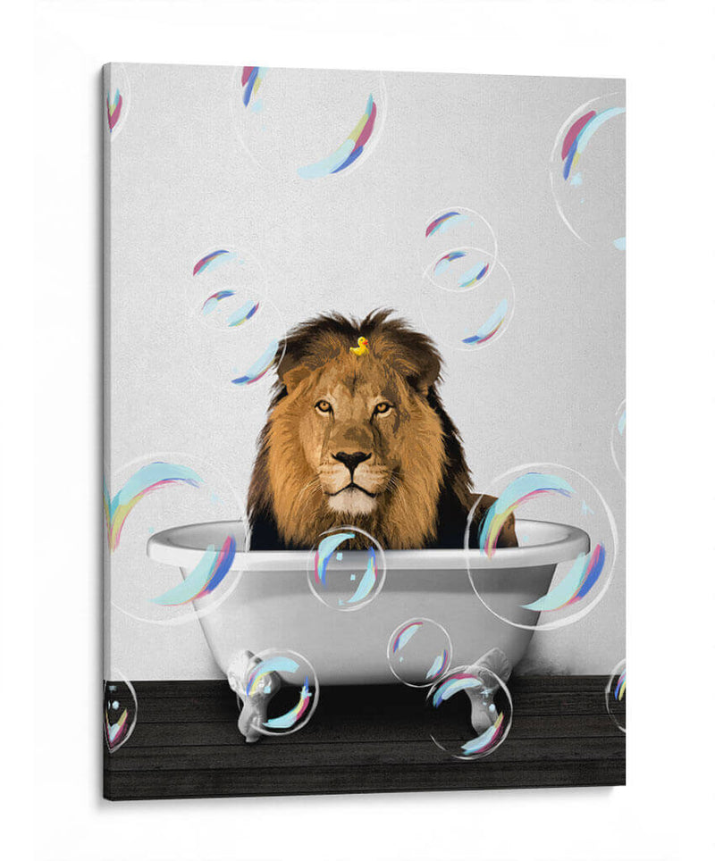 Lion Bath Color - Animals Daily | Cuadro decorativo de Canvas Lab