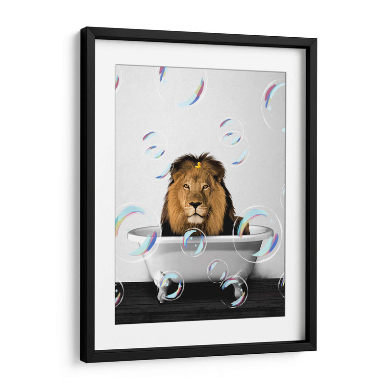 Lion Bath Color - Animals Daily | Cuadro decorativo de Canvas Lab