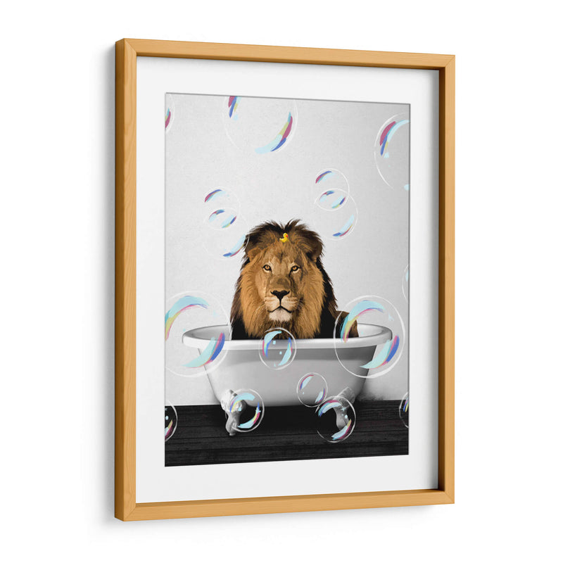 Lion Bath Color - Animals Daily | Cuadro decorativo de Canvas Lab