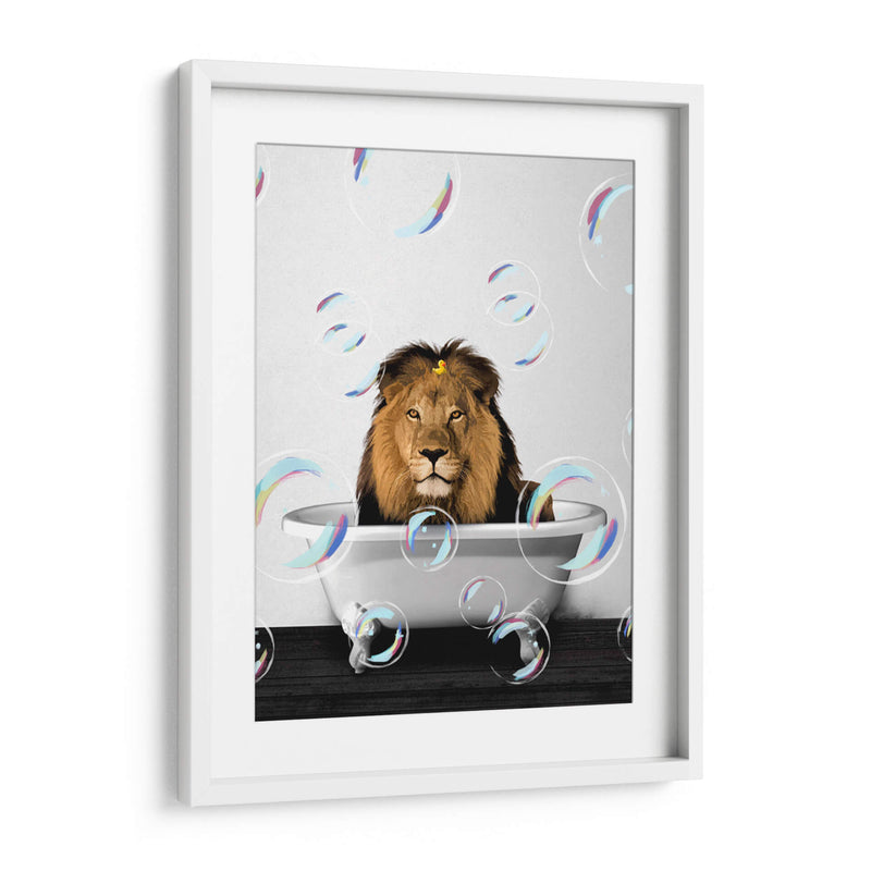 Lion Bath Color - Animals Daily | Cuadro decorativo de Canvas Lab