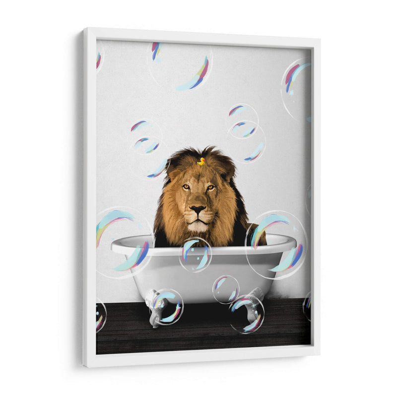 Lion Bath Color - Animals Daily | Cuadro decorativo de Canvas Lab