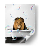 Lion Bath Color - Animals Daily | Cuadro decorativo de Canvas Lab