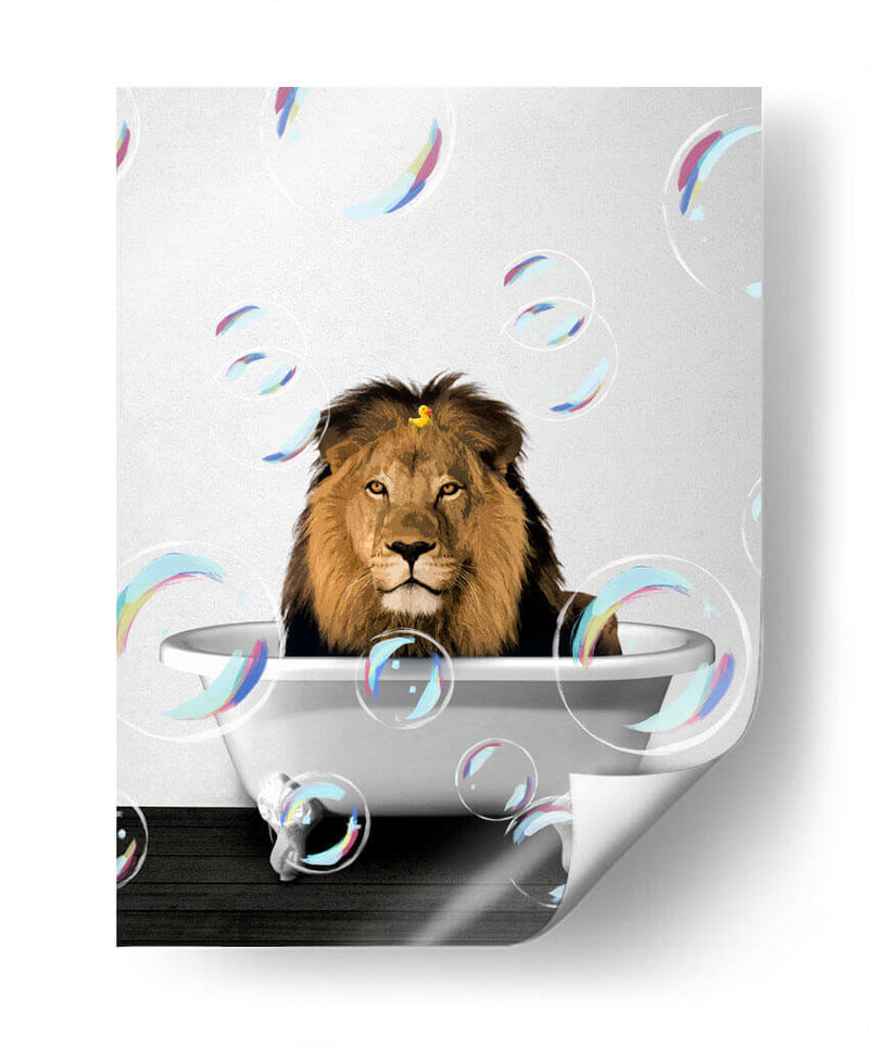 Lion Bath Color - Animals Daily | Cuadro decorativo de Canvas Lab