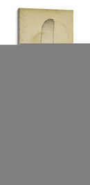 Cuchillo Antiguo - Ethan Harper | Cuadro decorativo de Canvas Lab