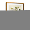 Magníficas Magnolias I - Jacob Trew | Cuadro decorativo de Canvas Lab