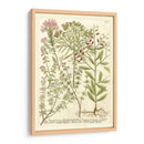 Weinmanns Garden I - Johann Weinmann | Cuadro decorativo de Canvas Lab