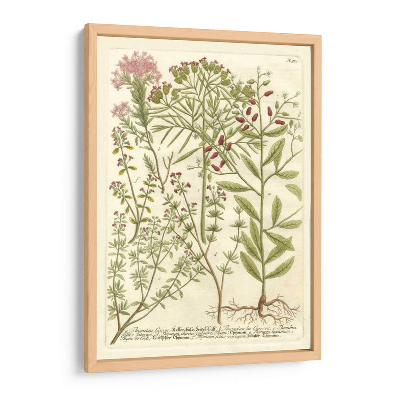 Weinmanns Garden I - Johann Weinmann | Cuadro decorativo de Canvas Lab