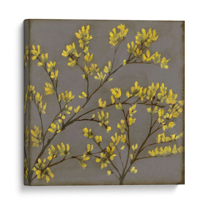 Forsythia I - Jennifer Goldberger | Cuadro decorativo de Canvas Lab