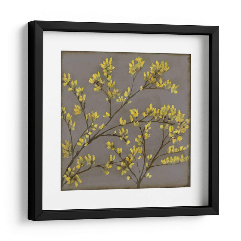 Forsythia I - Jennifer Goldberger | Cuadro decorativo de Canvas Lab