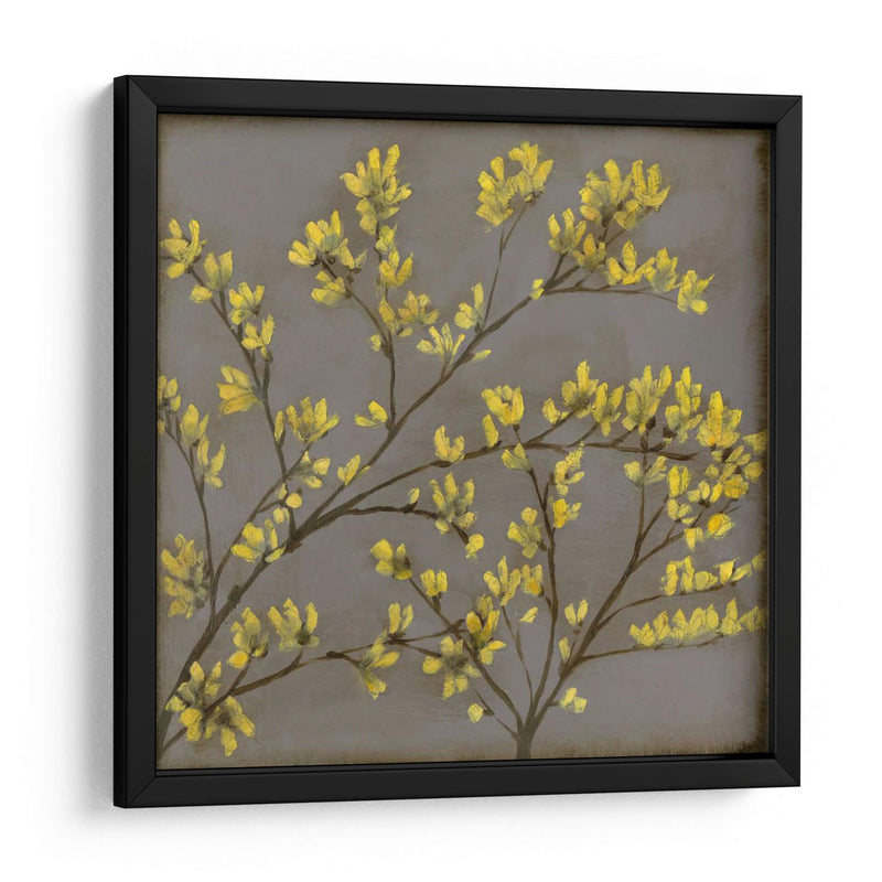 Forsythia I - Jennifer Goldberger | Cuadro decorativo de Canvas Lab