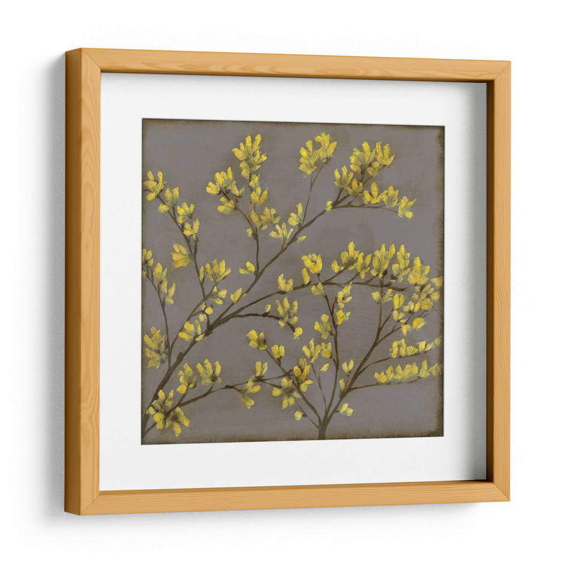 Forsythia I - Jennifer Goldberger | Cuadro decorativo de Canvas Lab