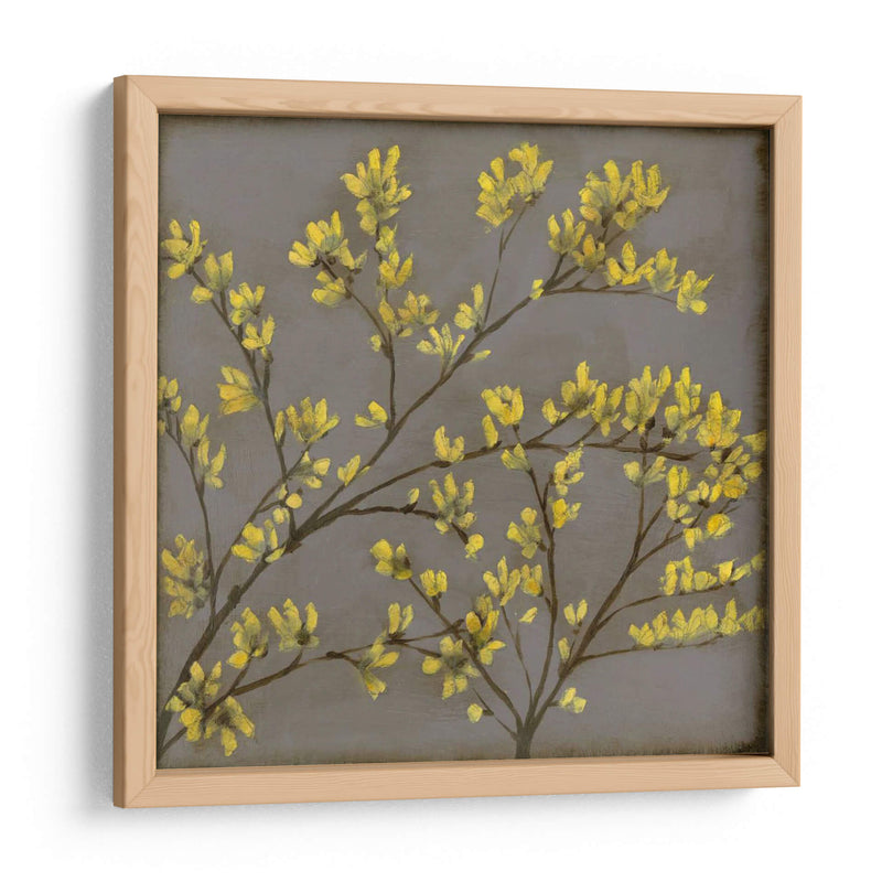 Forsythia I - Jennifer Goldberger | Cuadro decorativo de Canvas Lab