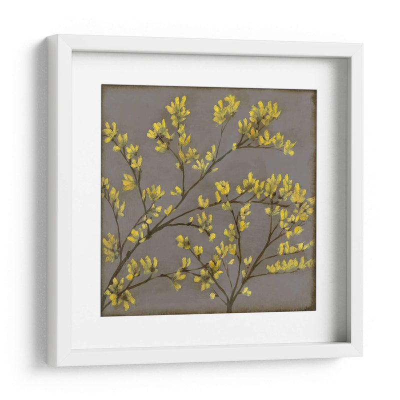 Forsythia I - Jennifer Goldberger | Cuadro decorativo de Canvas Lab