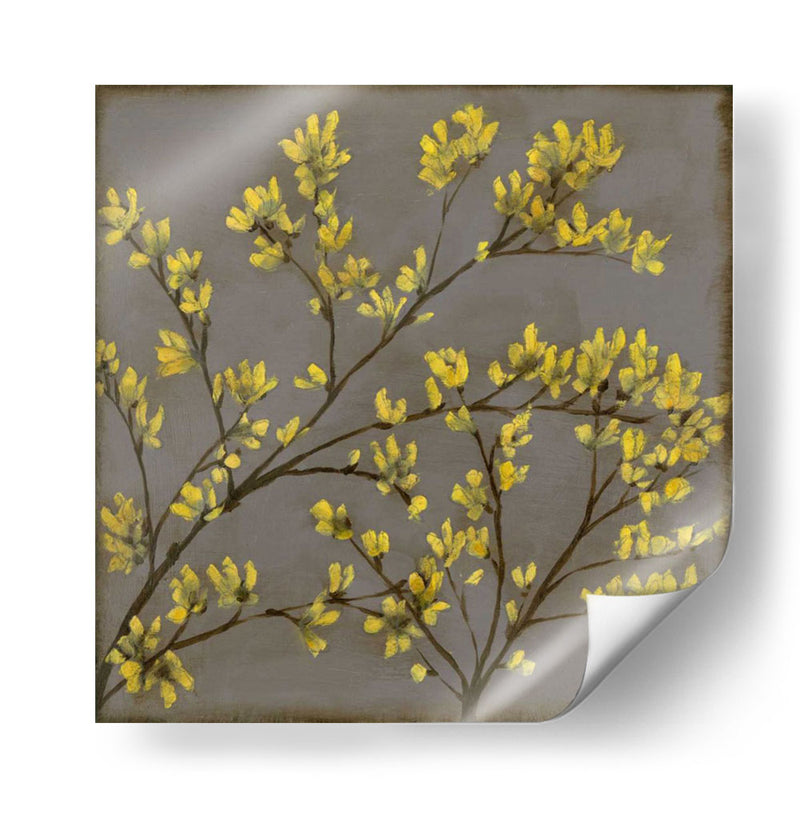 Forsythia I - Jennifer Goldberger | Cuadro decorativo de Canvas Lab