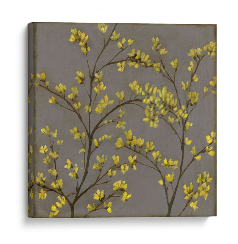 Forsythia Ii - Jennifer Goldberger | Cuadro decorativo de Canvas Lab